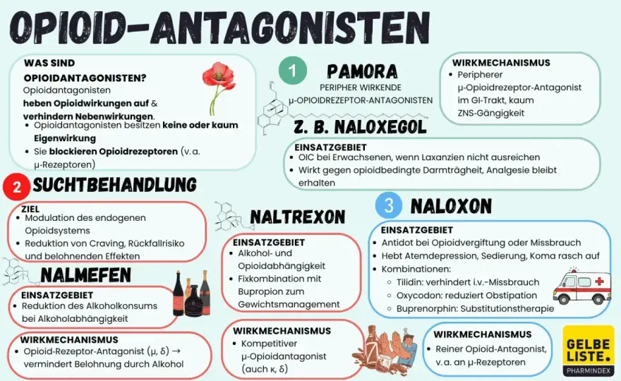 Buprenorphin verständlich erklärt - Wirkung, Formen und Risiken