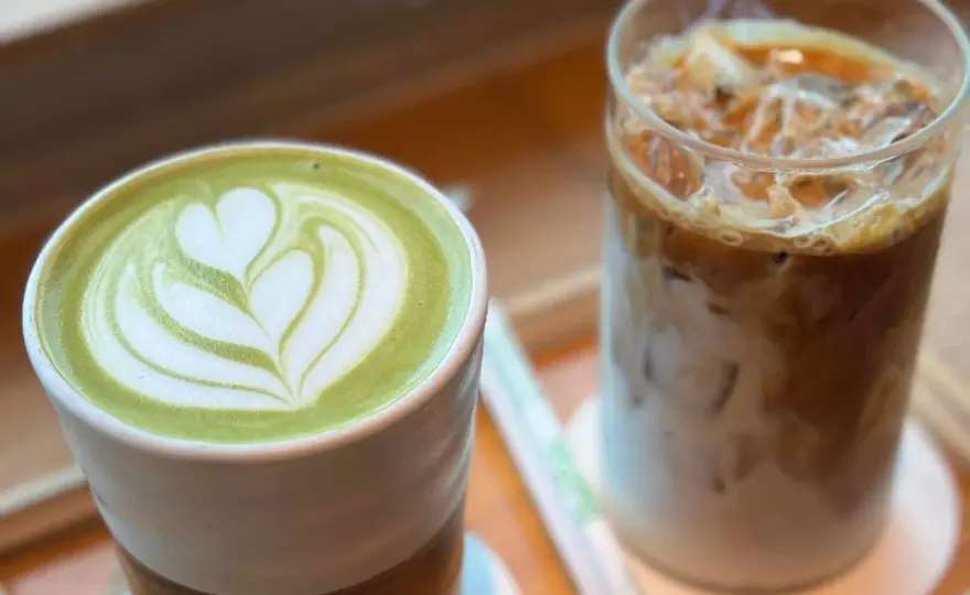 Matcha vs. Mate - Der große Vergleich: Dein perfekter Wachmacher?