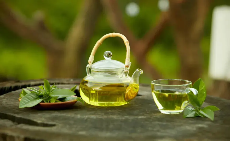 Té verde para qué sirve y cómo aprovecharlo mejor