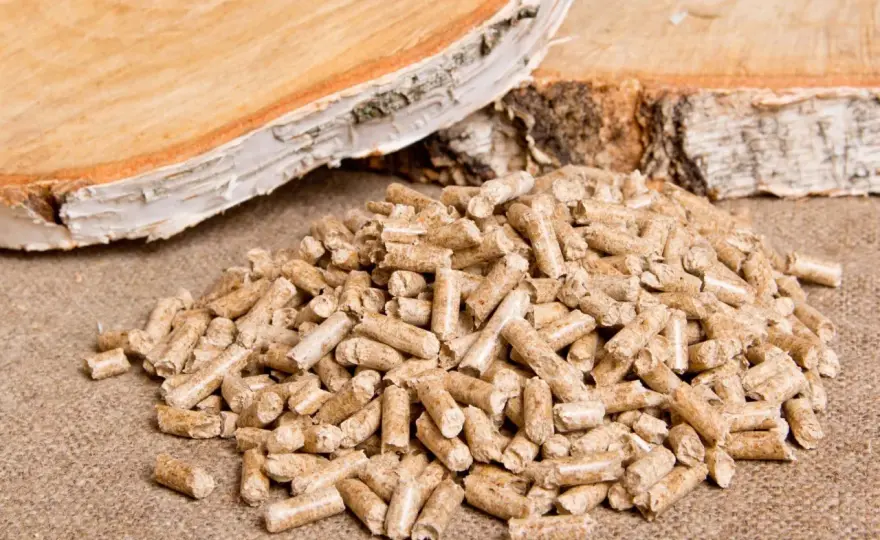 Pellet Olimp czy Barlinek – który wybór zapewni lepsze ciepło?