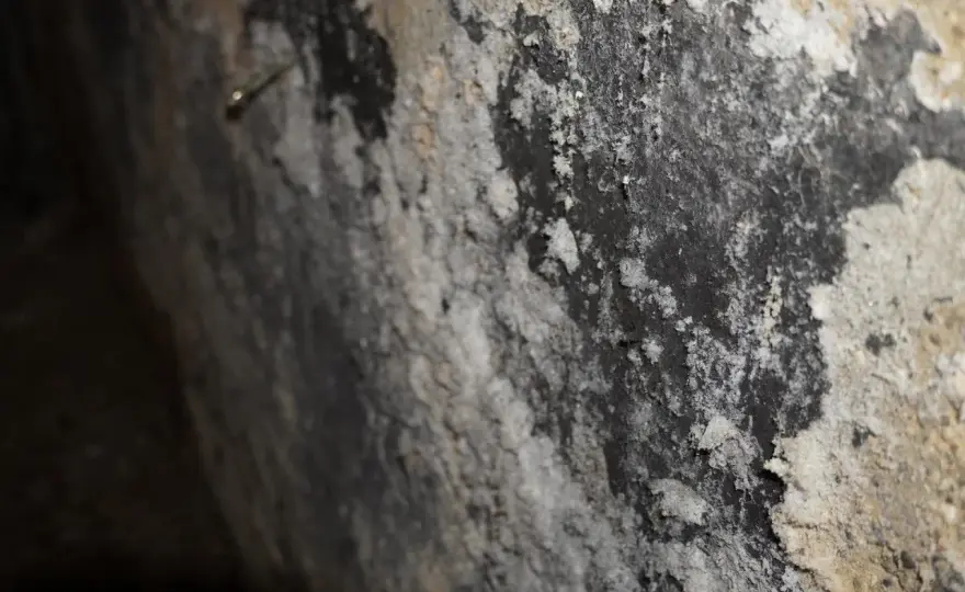 Salpeter an der Wand - Was tun gegen Feuchtigkeit?