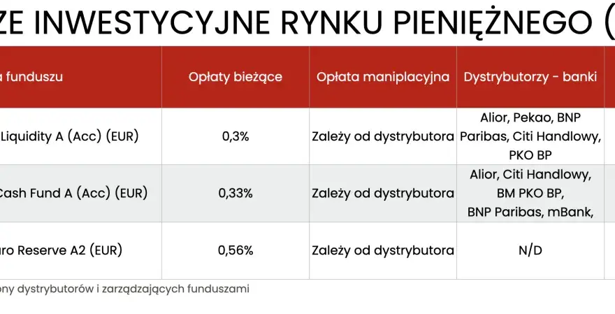 Inwestycje w euro - kiedy mają sens i co wybrać?