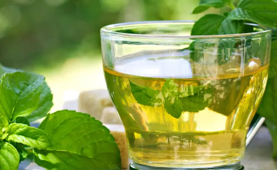 Minze im Tee - So gelingt der perfekte Aufguss