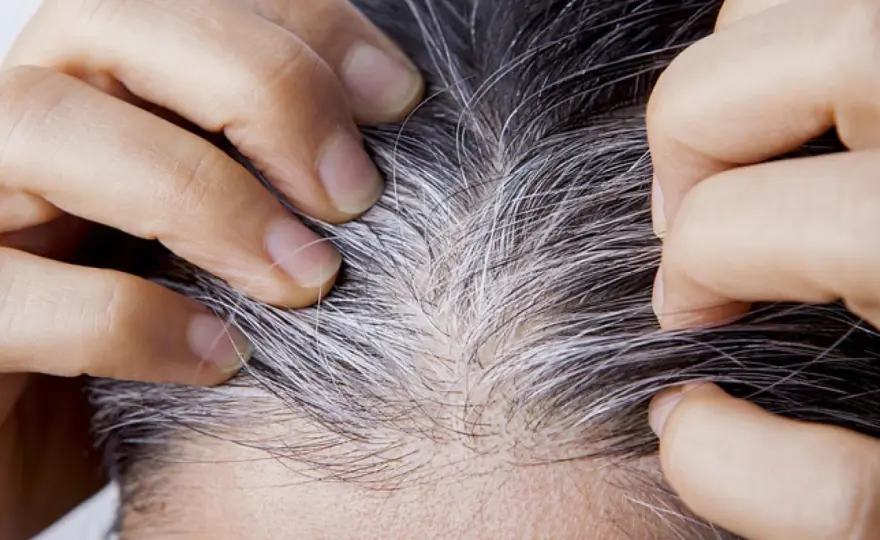 Cuándo salen las canas y cómo cubrirlas sin endurecer el cabello