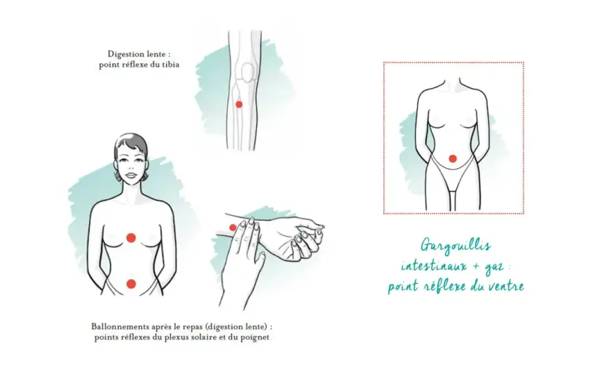 Massage abdominal - gestes doux, bienfaits et précautions