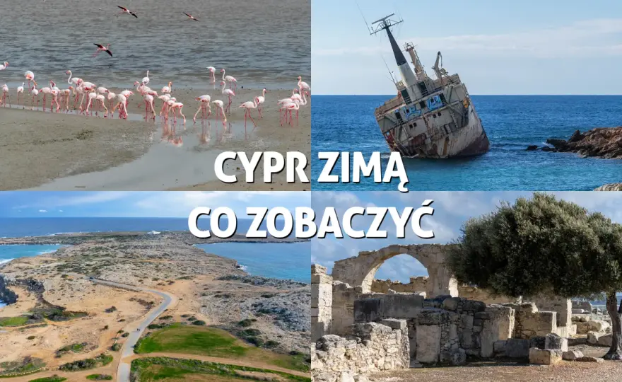 Cypr w lutym: Pogoda, ceny i atrakcje. Czy warto jechać?