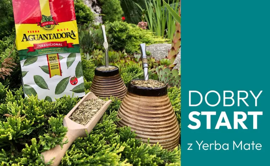 Matero do yerba mate - które wybrać? Poradnik
