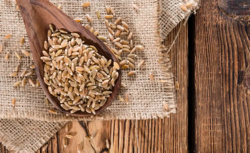 Mąka orkiszowa ma gluten! Co to znaczy dla Twojej diety?