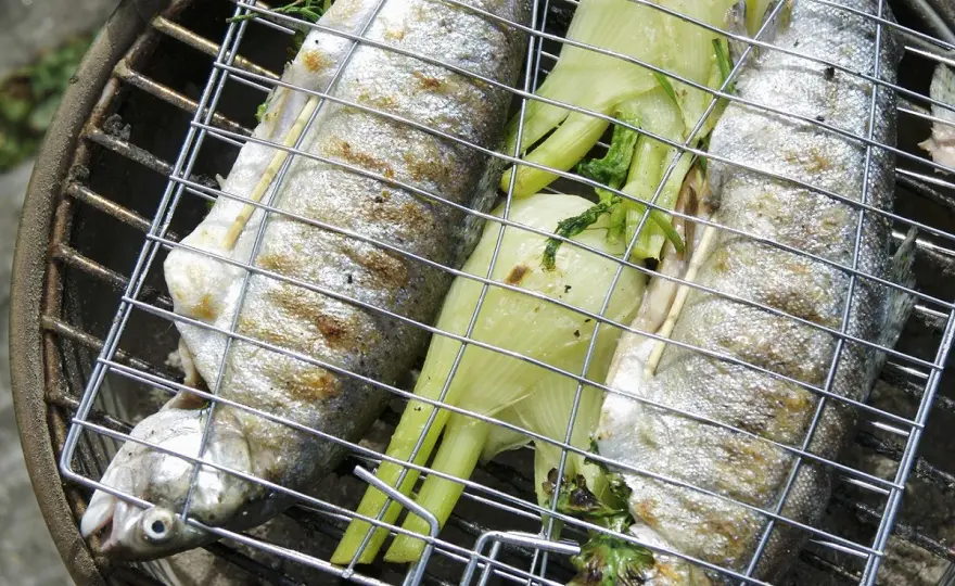 Truite au barbecue - Le guide pour une cuisson parfaite