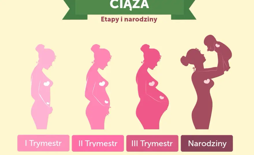 Ile trwają badania prenatalne? Czas oczekiwania na wyniki planuj bez stresu!
