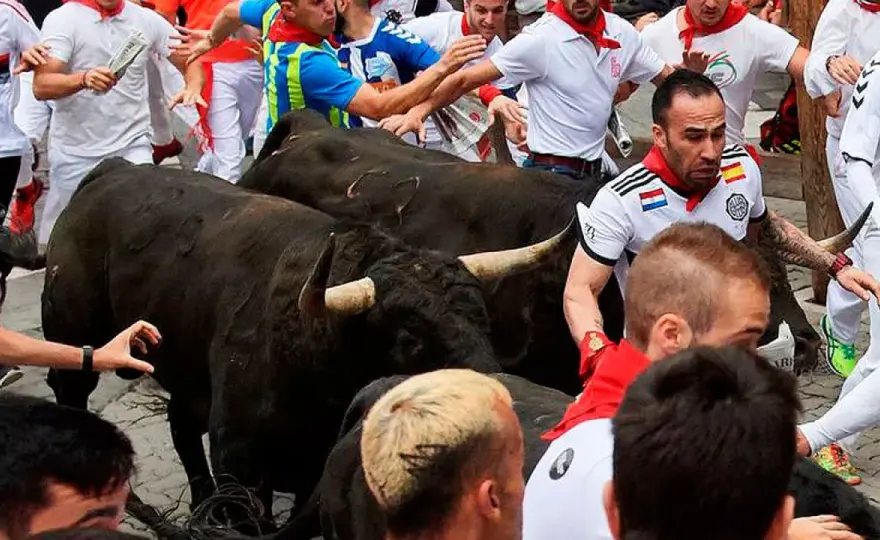 Ganadería Guadaira - Origen, Jandilla y claves de su toro