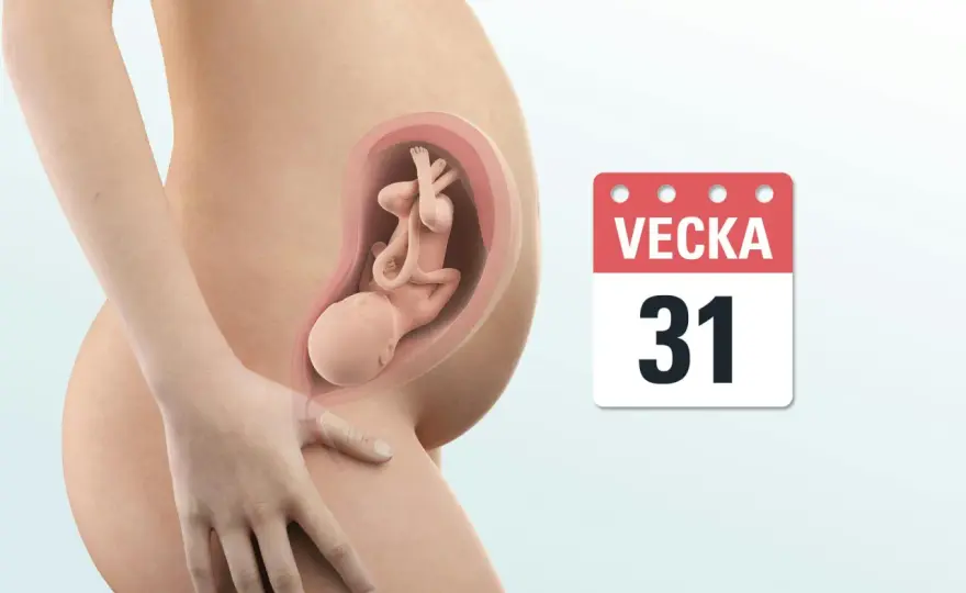 Gravid vecka 31 - vad som är normalt och vad du ska hålla koll på