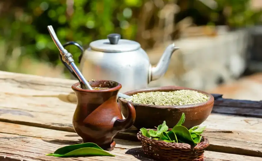 Yerba mate z miętą - Jak parzyć i wybrać idealną?