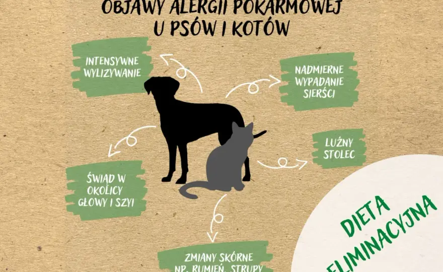 Nietolerancja pokarmowa u psa i kota - Objawy i co robić?