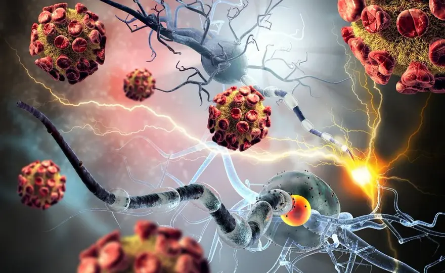 Choroby autoimmunologiczne - jakie badania krwi wykonać?