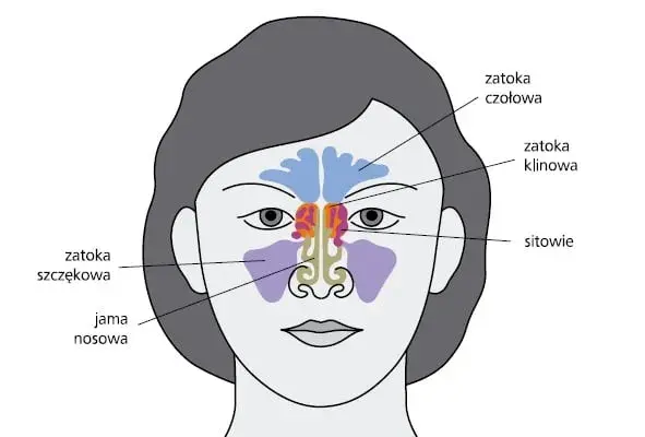 Przezroczysta wydzielina z zatok: przyczyny i skuteczne leczenie