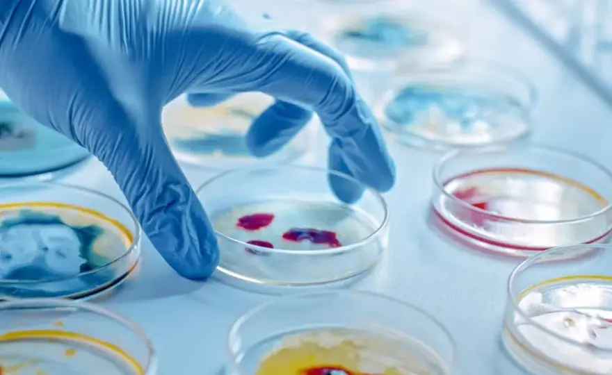 Mikrobiologia co po studiach: jak uniknąć najczęstszych błędów zawodowych