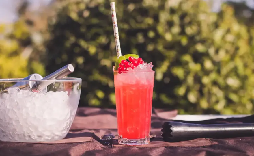 Pyszne drinki z sokiem porzeczkowym - orzeźwienie na każdą okazję