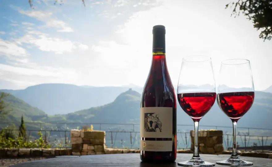Weingut Dominikus Kaltern: Charakter statt Größe? Dein Besuch!