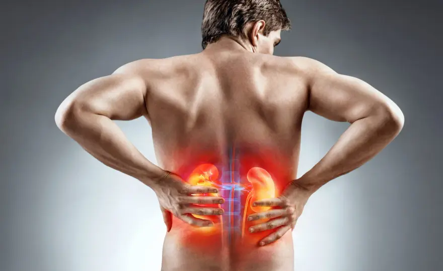 Dolor de riñones en la regla - ¿Es menstrual o renal?