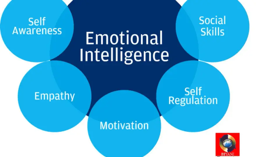 Emotional Intelligence at Work - Build Durable Performance