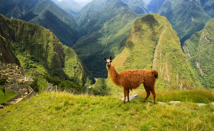 Kiedy jechać do Peru? Najlepszy czas na niezapomnianą podróż
