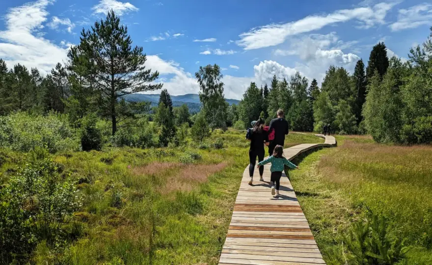 Torfowiska Bieszczady - Tarnawa. Dostępne dla każdego