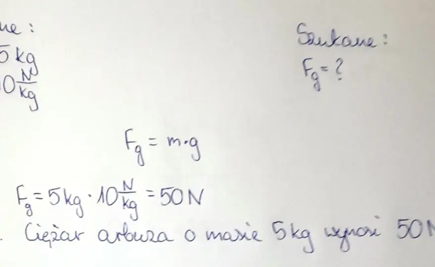 Siła ciężkości - Jak ją obliczyć i czym różni się od masy?