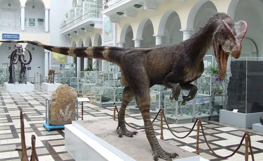 Muzeum Geologiczne w Warszawie - Dinozaury i darmowy wstęp. Warto?