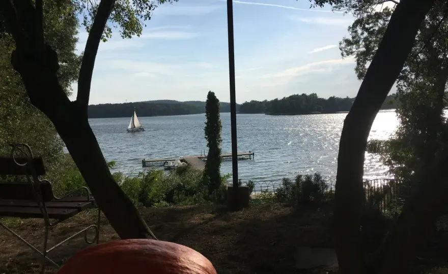 Puszcza Notecka - plan na weekend. Sieraków, dąb Józef, prom