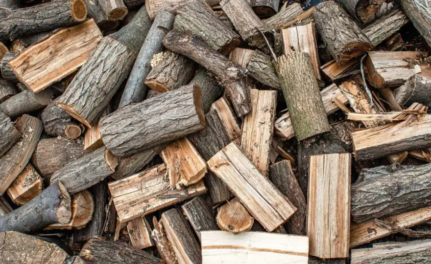 Holz als Energieträger - Sinnvoll oder nicht? Der Praxis-Check