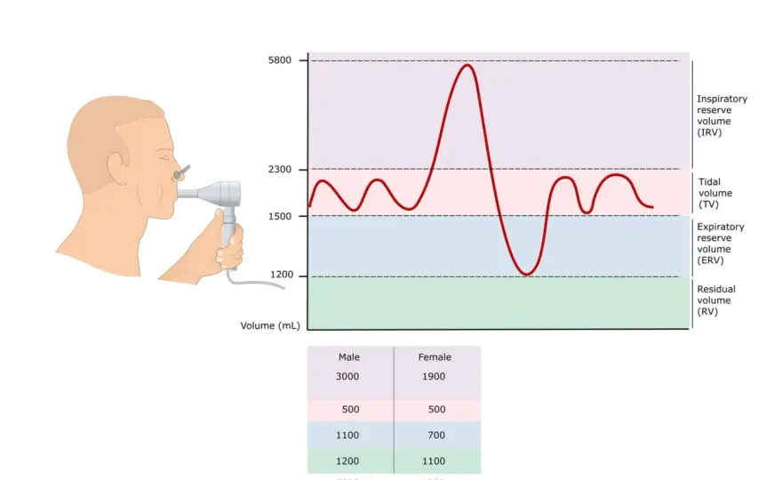 Spirometria - jak interpretować wyniki i przygotować się do badania?