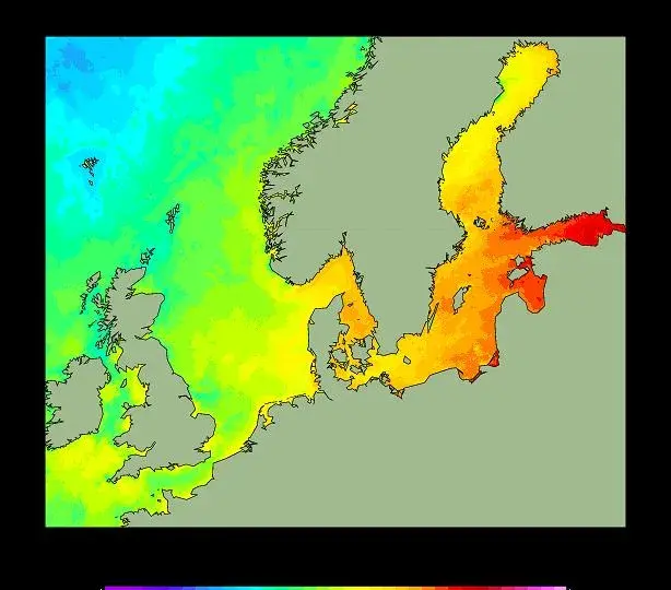 Temperatura wody w Bałtyku: Kiedy i gdzie jest najcieplej?