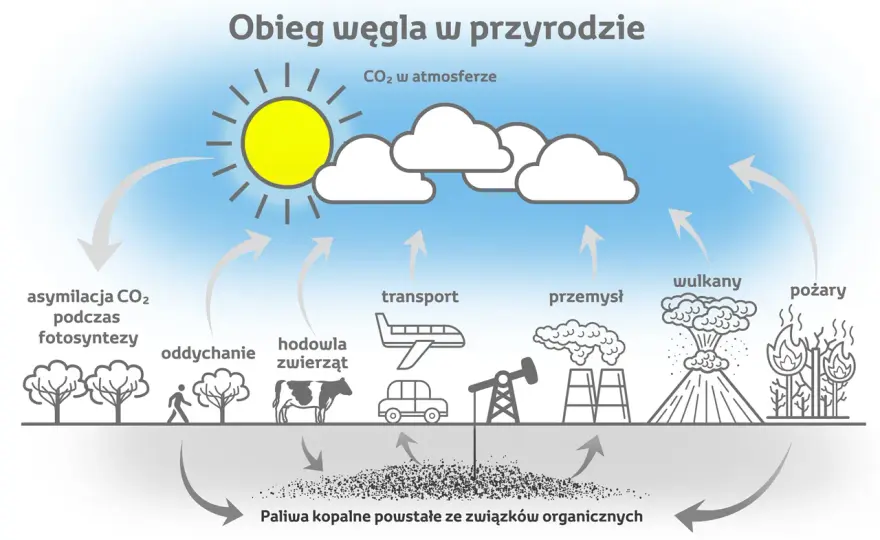 Czy wulkany emitują więcej CO2 niż człowiek? Wpływ wulkanów na klimat i emisje dwutlenku węgla