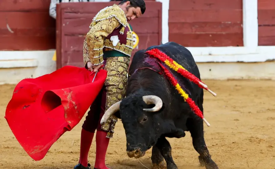 Tauromaquia - ¿Qué es y por qué genera tanto debate en España?