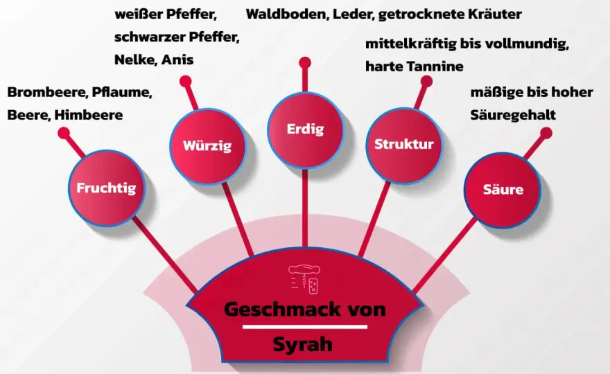 Syrah verstehen - Unterschiede, Stile & Kauf-Tipps
