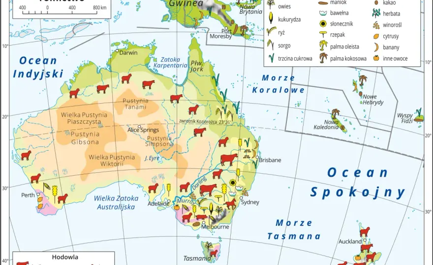 Gdzie leży Australia? Odkryj jej niezwykłą lokalizację na mapie