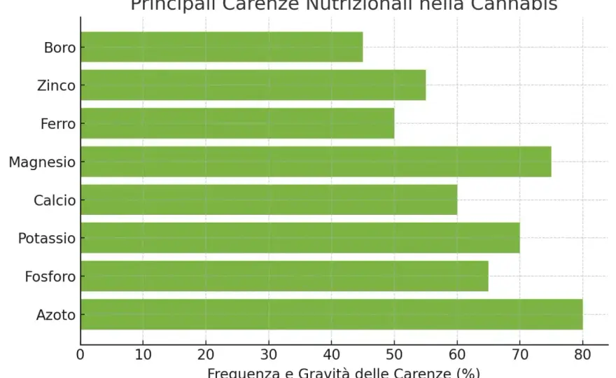 Carenza potassio cannabis - Sintomi e correzione efficace