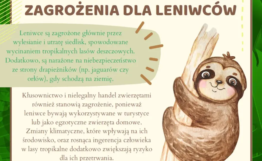 Dzień Leniwca - Prawda o leniwcach, ochrona i daty święta