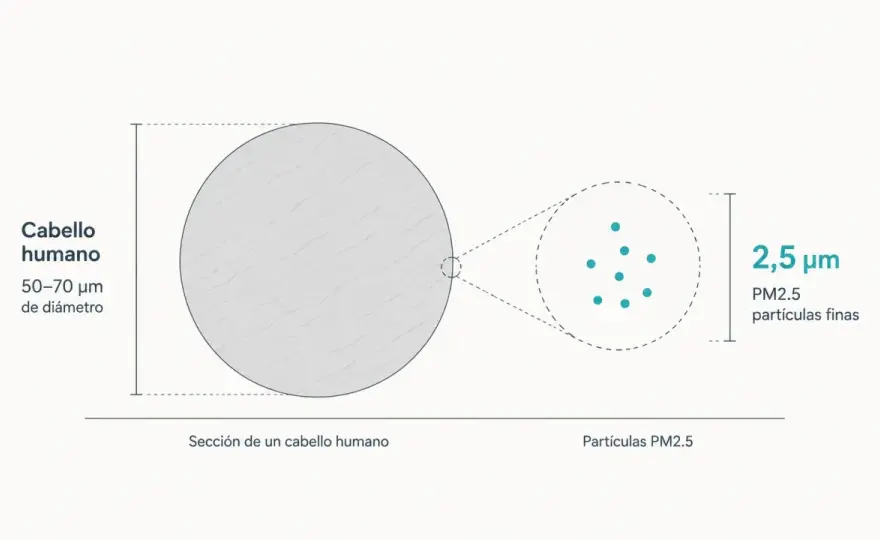 PM2,5 en casa - cómo reducir la exposición de verdad
