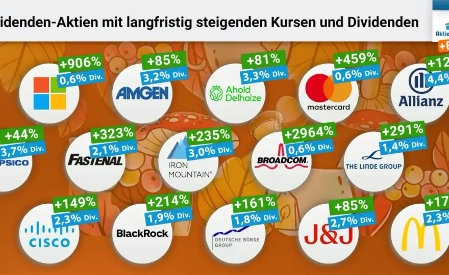 Top 10 Dividenden-Aktien weltweit - Qualität statt nur Rendite