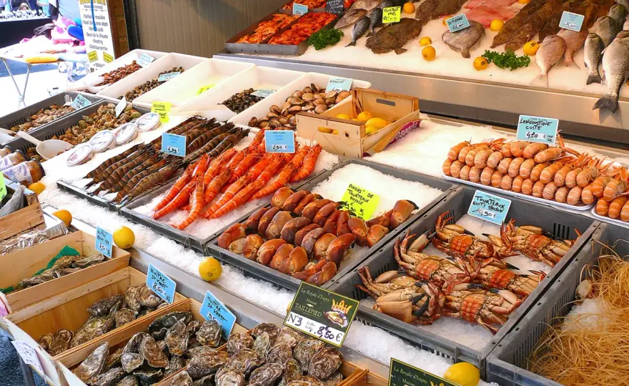 France gourmande : Votre circuit gastronomique idéal ?