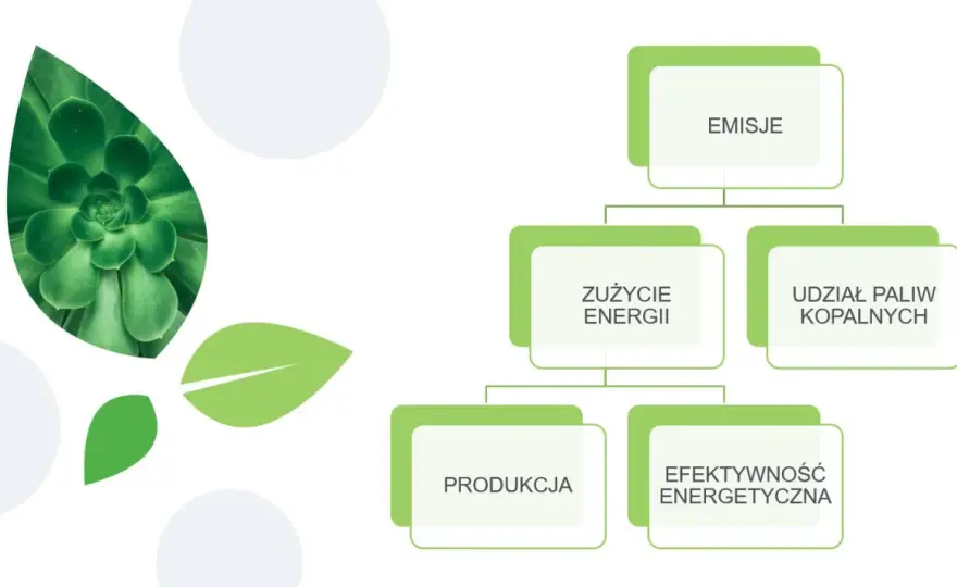 Jak emisja CO2 w g/km wpływa na środowisko i jak ją skutecznie zmniejszyć?