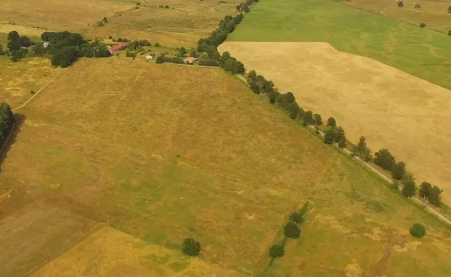 Niwelacja terenu - uniknij błędów i oszczędź na budowie!
