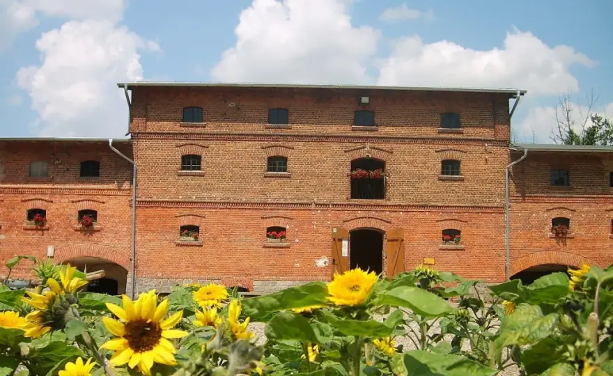 Mniszki Skansen: Odkryj zanikające rzemiosła i lokalną historię