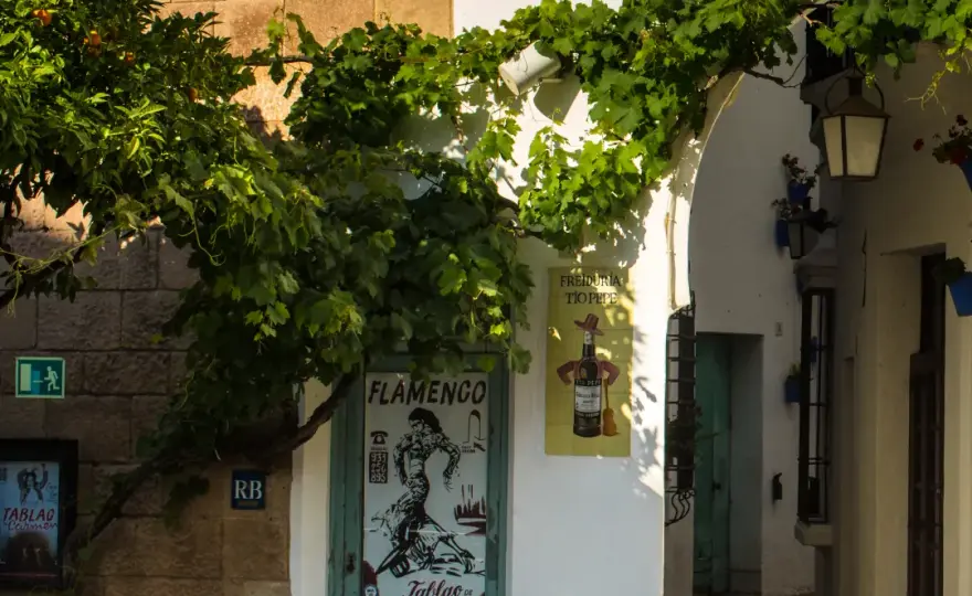 Tablao de Carmen Barcelona: la guía completa del flamenco auténtico en Poble Espanyol