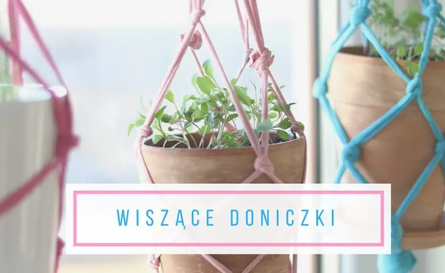 Jak zrobić wiszącą doniczkę - proste sposoby i materiały, które zaskoczą