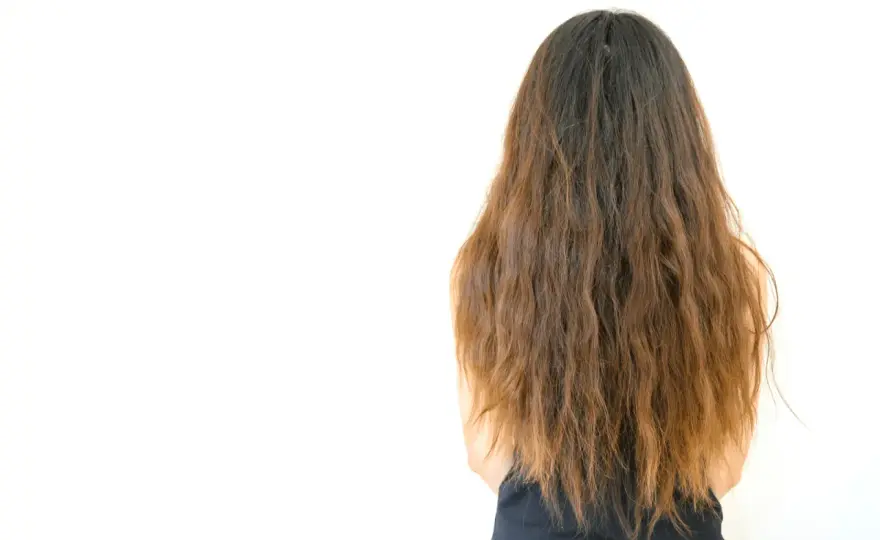 ¿Pelo seco y áspero? Hidrata de verdad sin complicarte