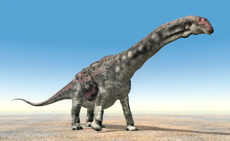 Dinozaury roślinożerne - Jak jadły i trawiły rośliny?