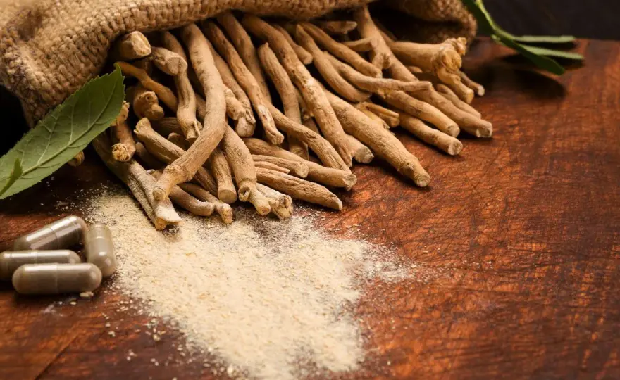 Ashwagandha - Dangers réels et qui doit l'éviter?